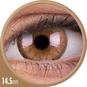 Cheerful Woody Brown (1-Mois) (2 lentilles)