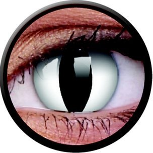 Viper (3-Mois) (2 lentilles)