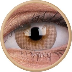 Fizzy Signature Brown (1-Mois) (2 lentilles)